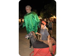 IMG_7355